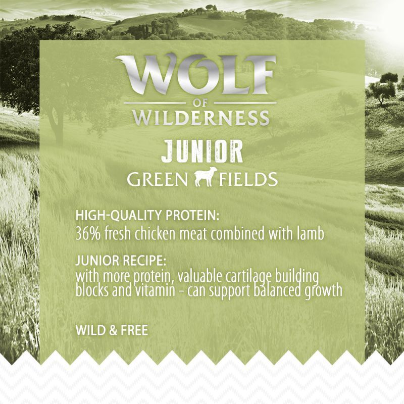 Little Wolf of Wilderness Junior Lamb and Chicken Dry Dog Food 2kg, 5kg, 12Kg