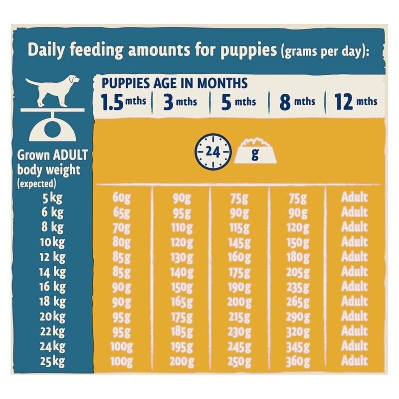 Purina Beta Puppy with Chicken Dry Dog Food - 2kg, 14kg