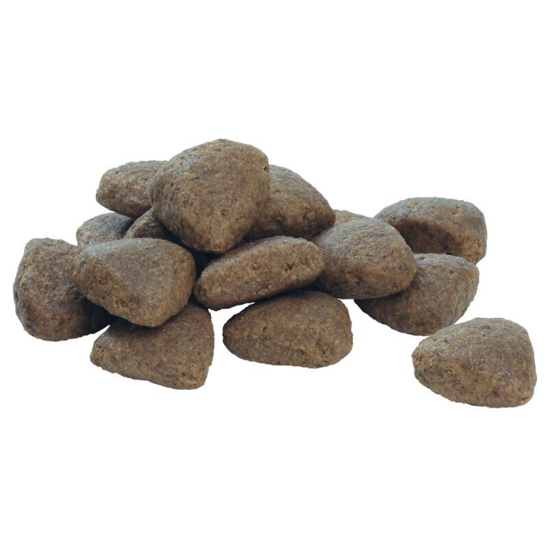 PURINA PRO PLAN Large Athletic Adult 2+ Everyday Nutrition Dry Food Dog 14kg