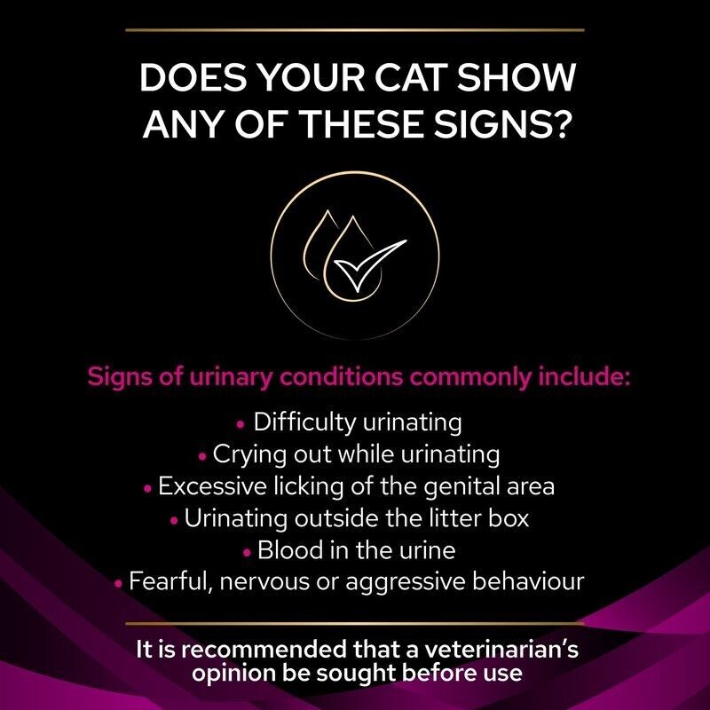 Purina Pro Plan Veterinary Diets Wet Cat Food UR Urinary Chicken 10, 20, 40x85g