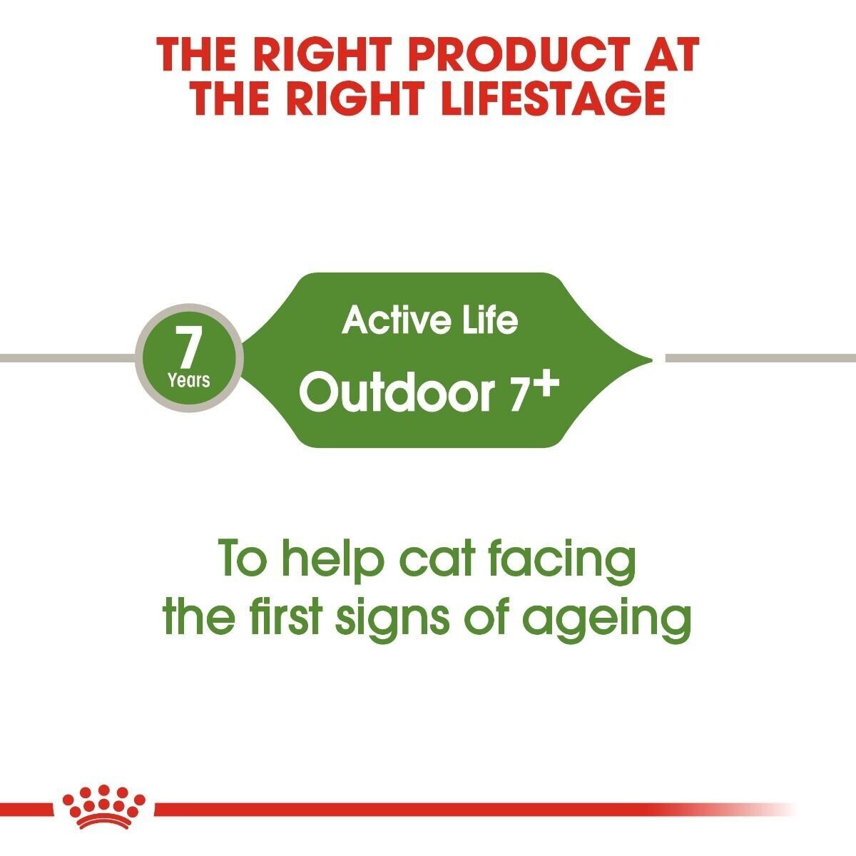 Royal Canin Active Life Outdoor 7+ Adult Cat Dry Food - 400g, 2kg, 4kg, 10kg