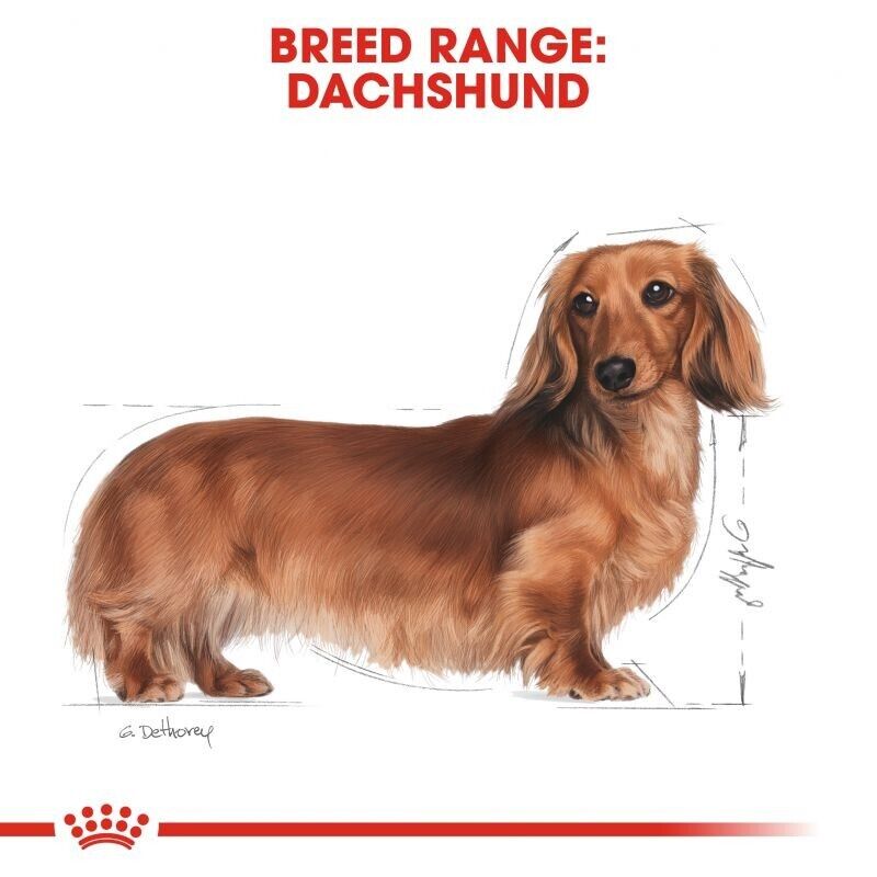 Royal Canin Adult Dachshund Dry Dog Food - 7.5kg