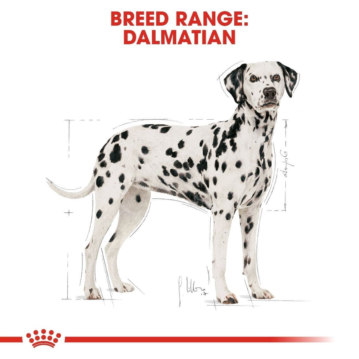 Royal Canin Adult Dalmatian Dry Dog Food - 12kg