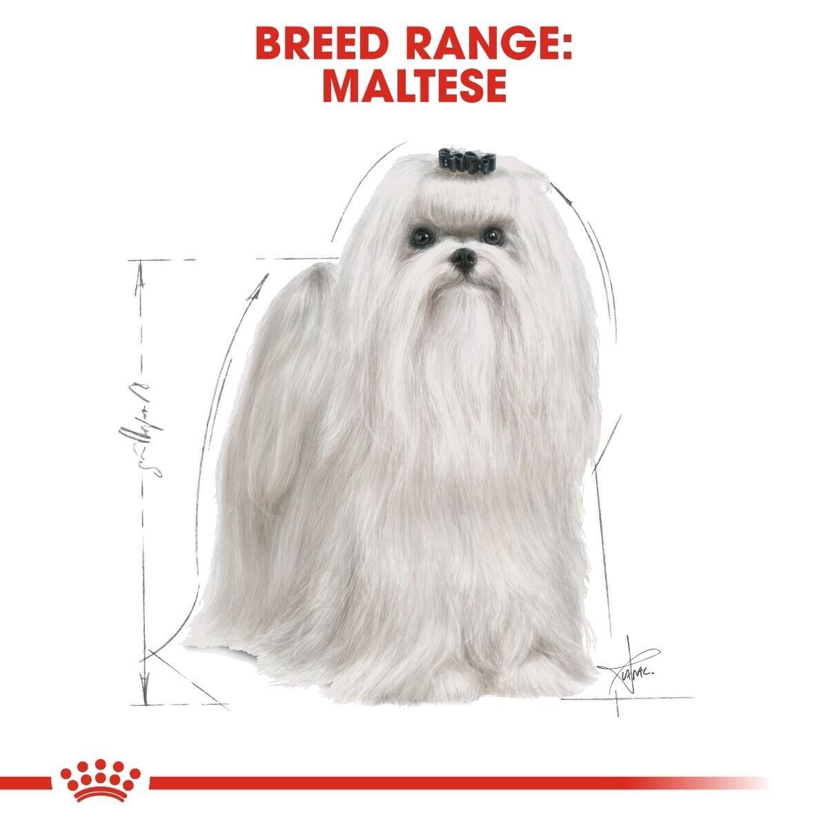 Royal Canin Adult Maltese Dry Dog Food - 1.5kg, 3kg