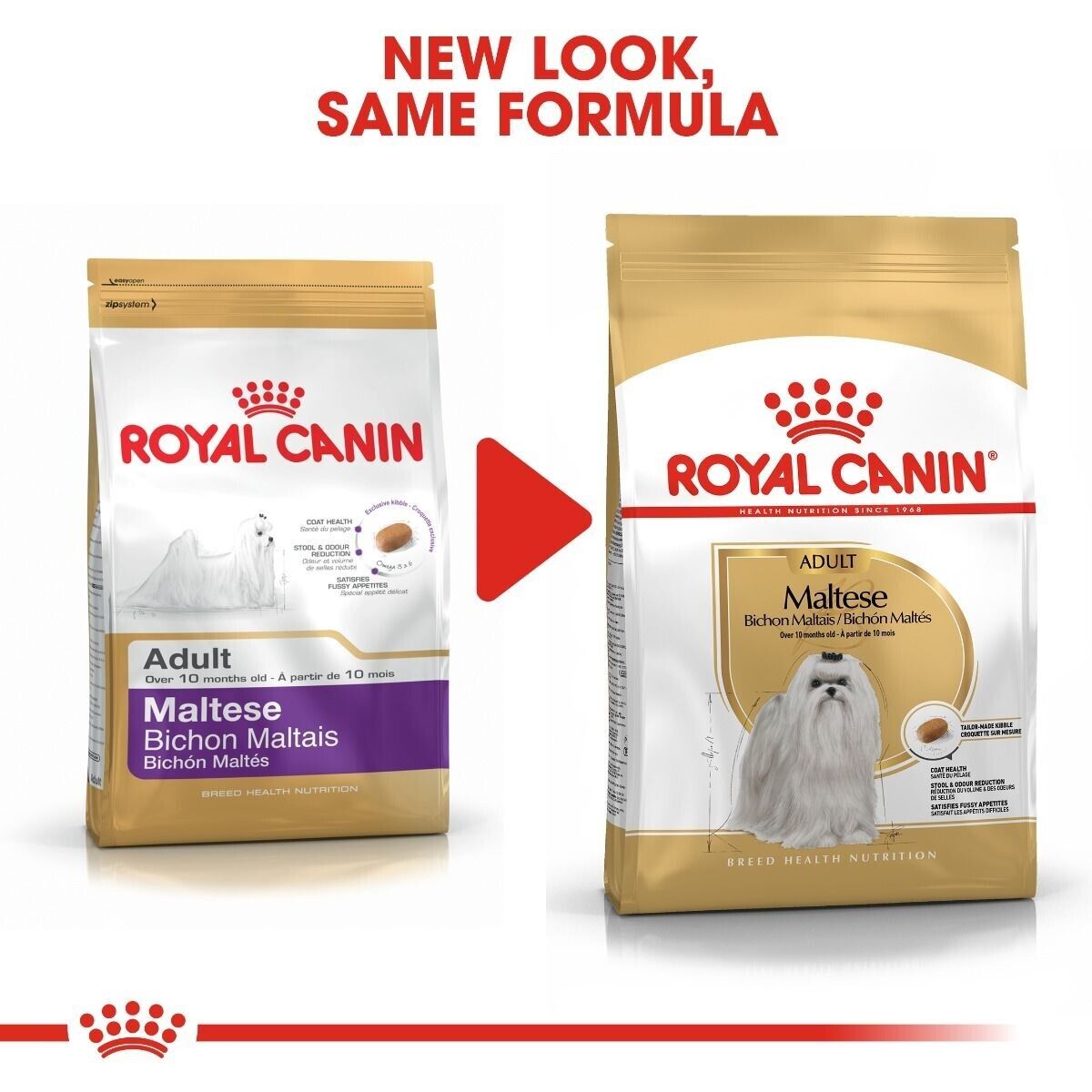 Royal Canin Adult Maltese Dry Dog Food - 1.5kg, 3kg