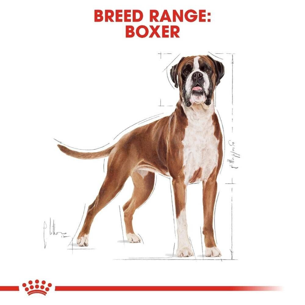 Royal Canin Boxer Adult Dry Dog Food - 12kg