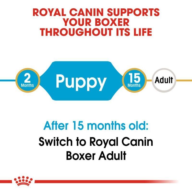 Royal Canin BOXER PUPPY Breed Health Nutrition Dry Dog Food 3 kg , 6 kg , 12 kg