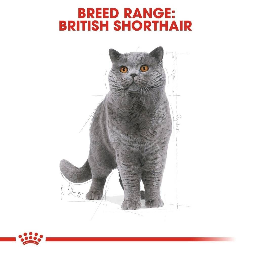 Royal Canin British Shorthair Adult Dry Cat Food - 400g, 2kg, 4kg, 10kg