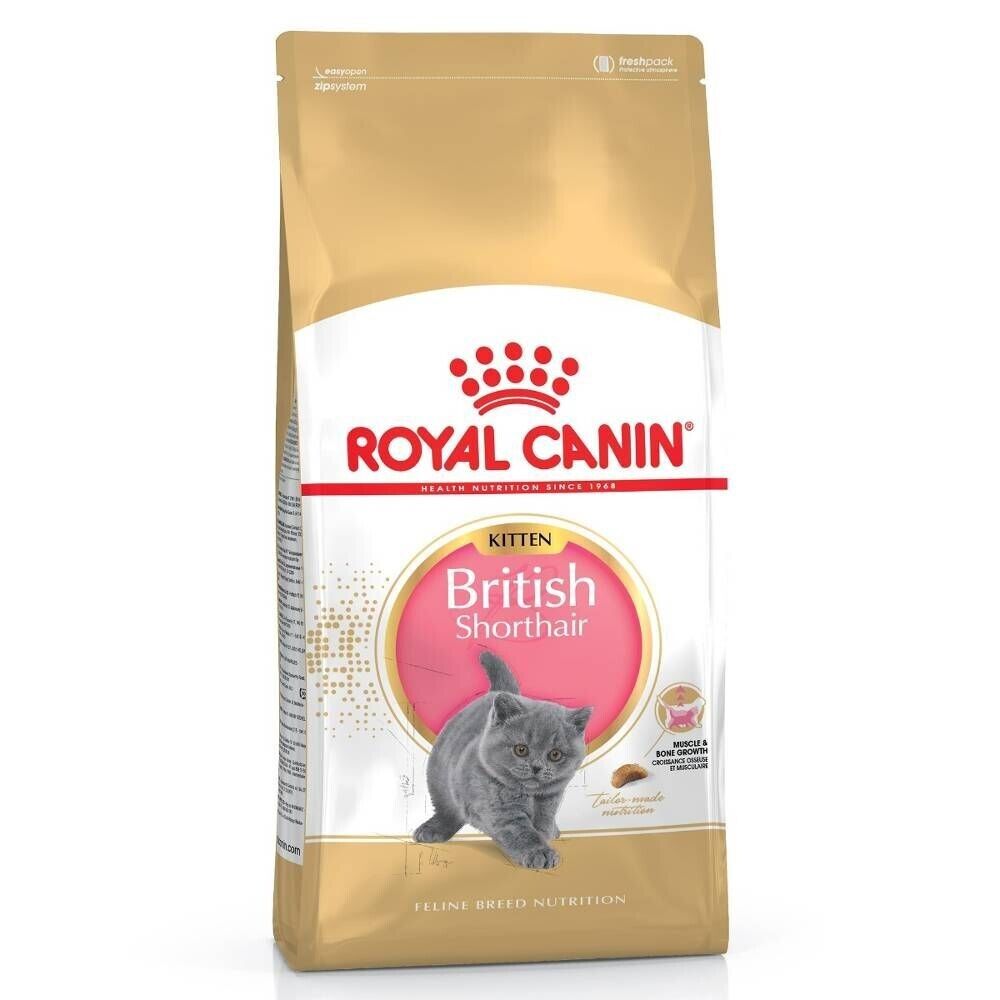 Royal Canin British Shorthair Kitten Dry Cat Food - 400g, 2kg, 10kg