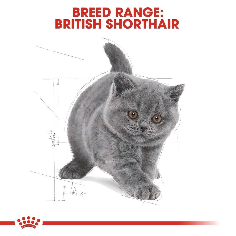 Royal Canin British Shorthair Kitten Dry Cat Food - 400g, 2kg, 10kg