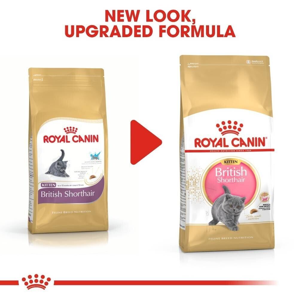 Royal Canin British Shorthair Kitten Dry Cat Food - 400g, 2kg, 10kg