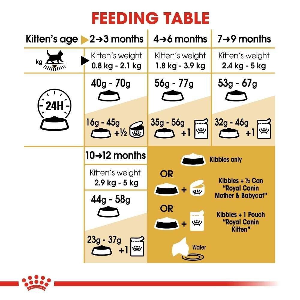 Royal Canin British Shorthair Kitten Dry Cat Food - 400g, 2kg, 10kg