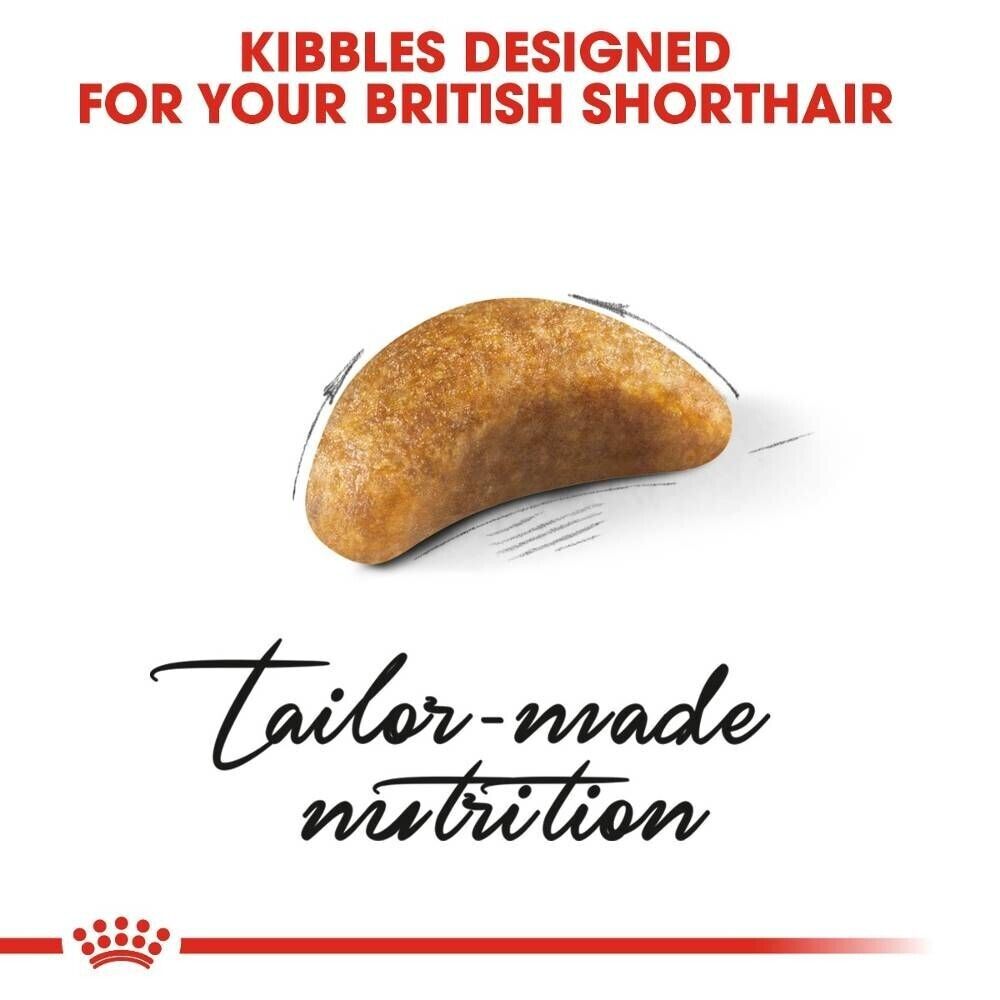 Royal Canin British Shorthair Kitten Dry Cat Food - 400g, 2kg, 10kg
