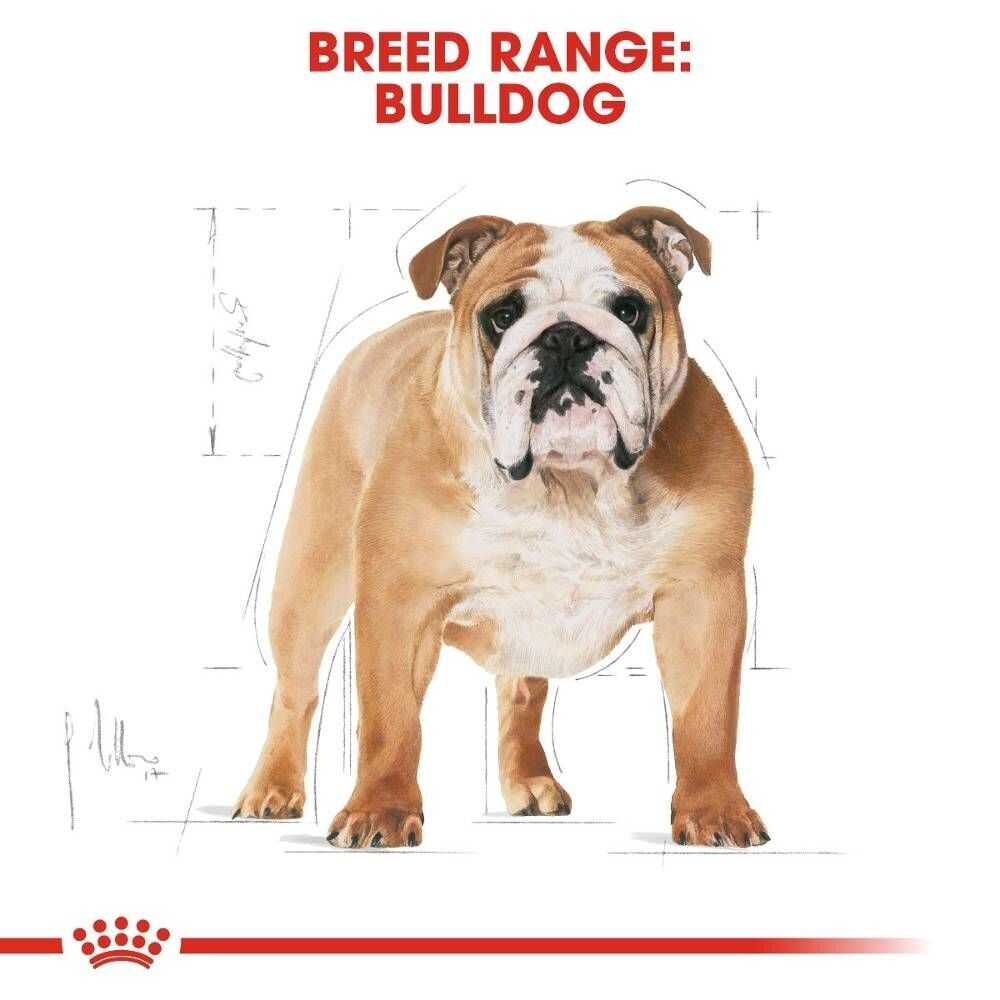 Royal Canin Bulldog Adult Dry Dog Food - 3kg, 12kg