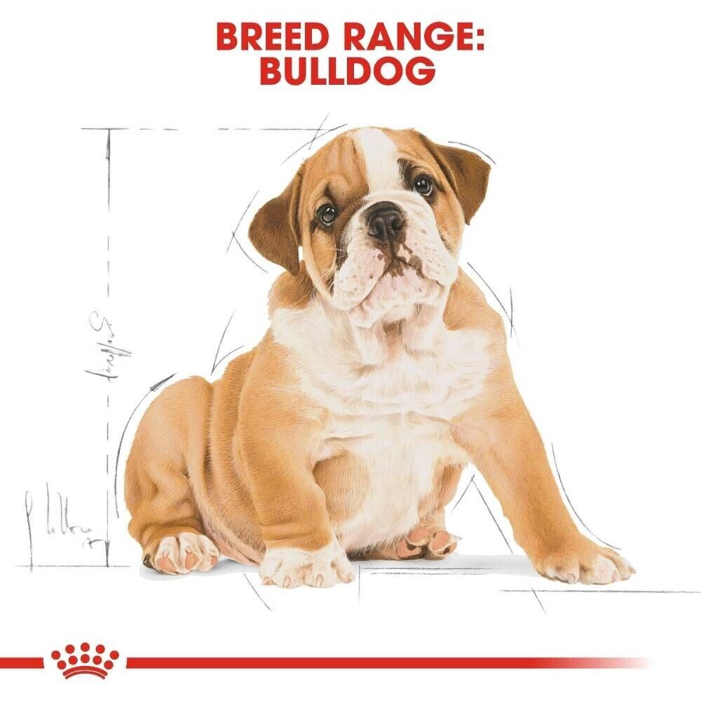 Royal Canin Bulldog Puppy Dry Dog Food - 3kg, 12kg