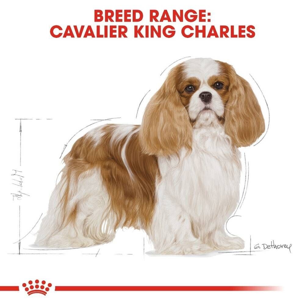 Royal Canin Cavalier King Charles Adult Dry Dog Food - 1.5kg, 3kg, 7.5kg