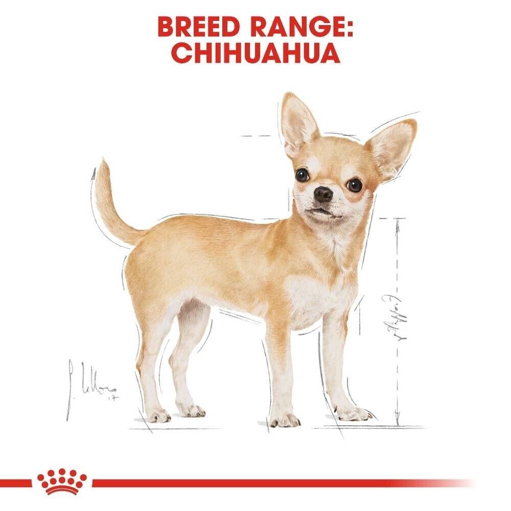 Royal Canin Chihuahua Adult Dry Dog Food - 1.5kg, 3kg