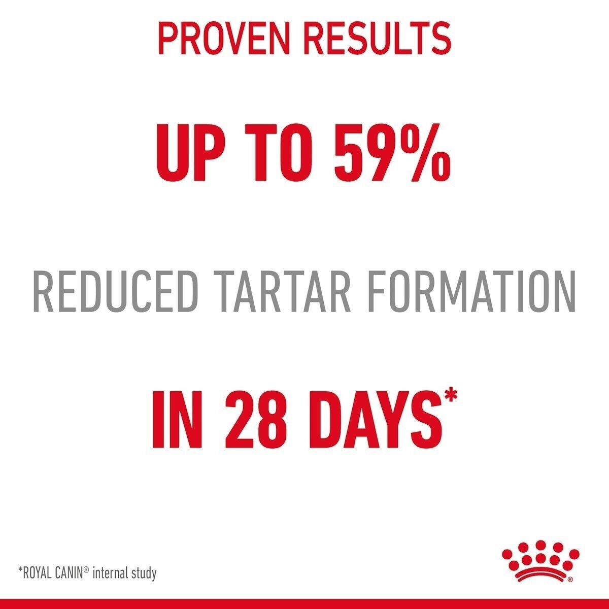 Royal Canin Dental Care Oral Care Dry Cat Food - 400g, 1.5kg, 3.5kg, 8kg