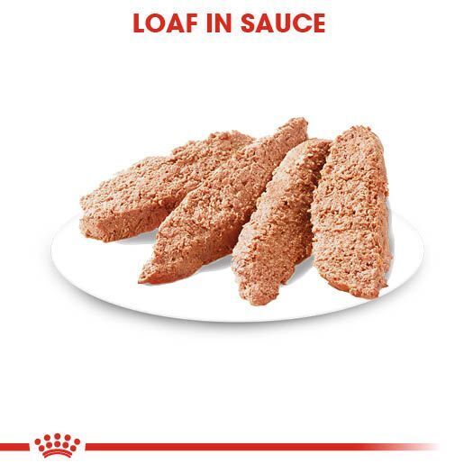 Royal Canin Dermacomfort Wet Dog Food Pouches 12 , 24 , 48 x 85g