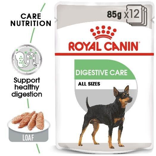 Royal Canin Digestive Care Adult Wet Dog Food (in Loaf) - 12x85g, 24x85g, 48x85g
