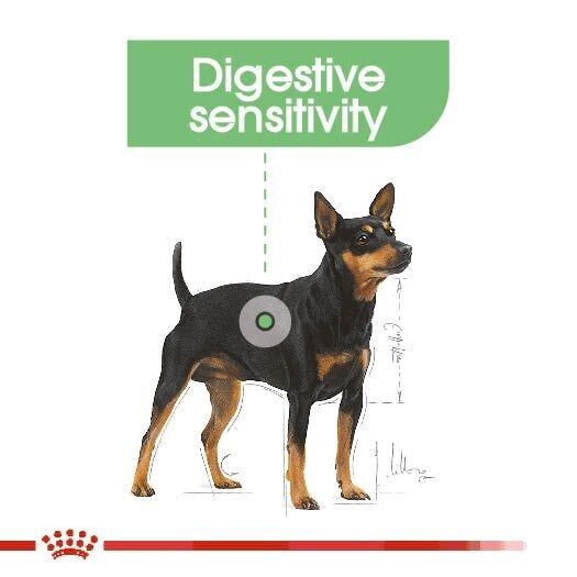 Royal Canin Digestive Care Adult Wet Dog Food (in Loaf) - 12x85g, 24x85g, 48x85g
