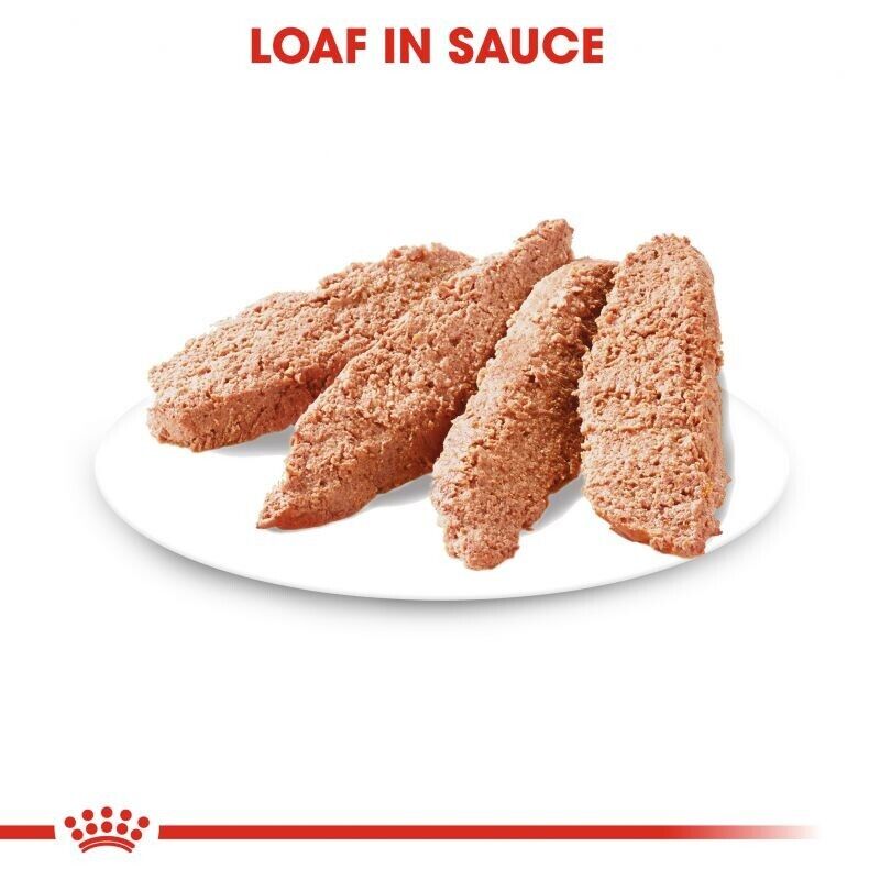 Royal Canin Digestive Care Adult Wet Dog Food (in Loaf) - 12x85g, 24x85g, 48x85g