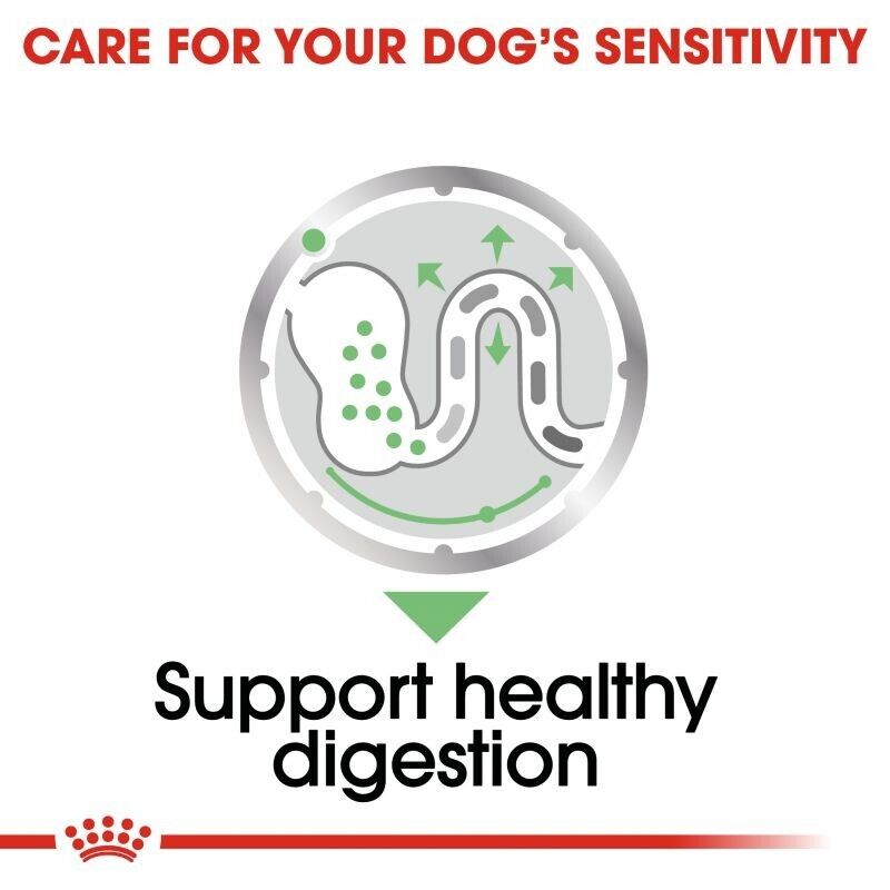 Royal Canin Digestive Care Adult Wet Dog Food (in Loaf) - 12x85g, 24x85g, 48x85g