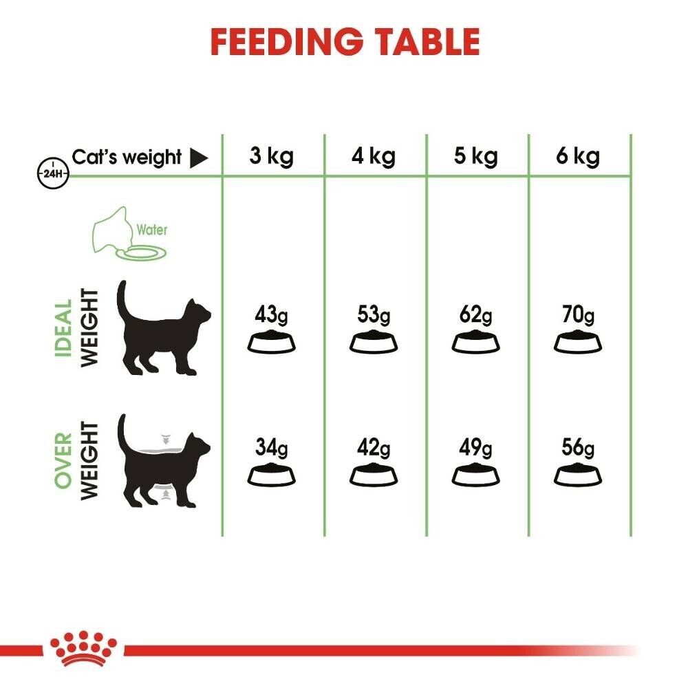 Royal Canin Digestive Care Dry Cat Food - 400g, 2kg, 4kg, 10kg
