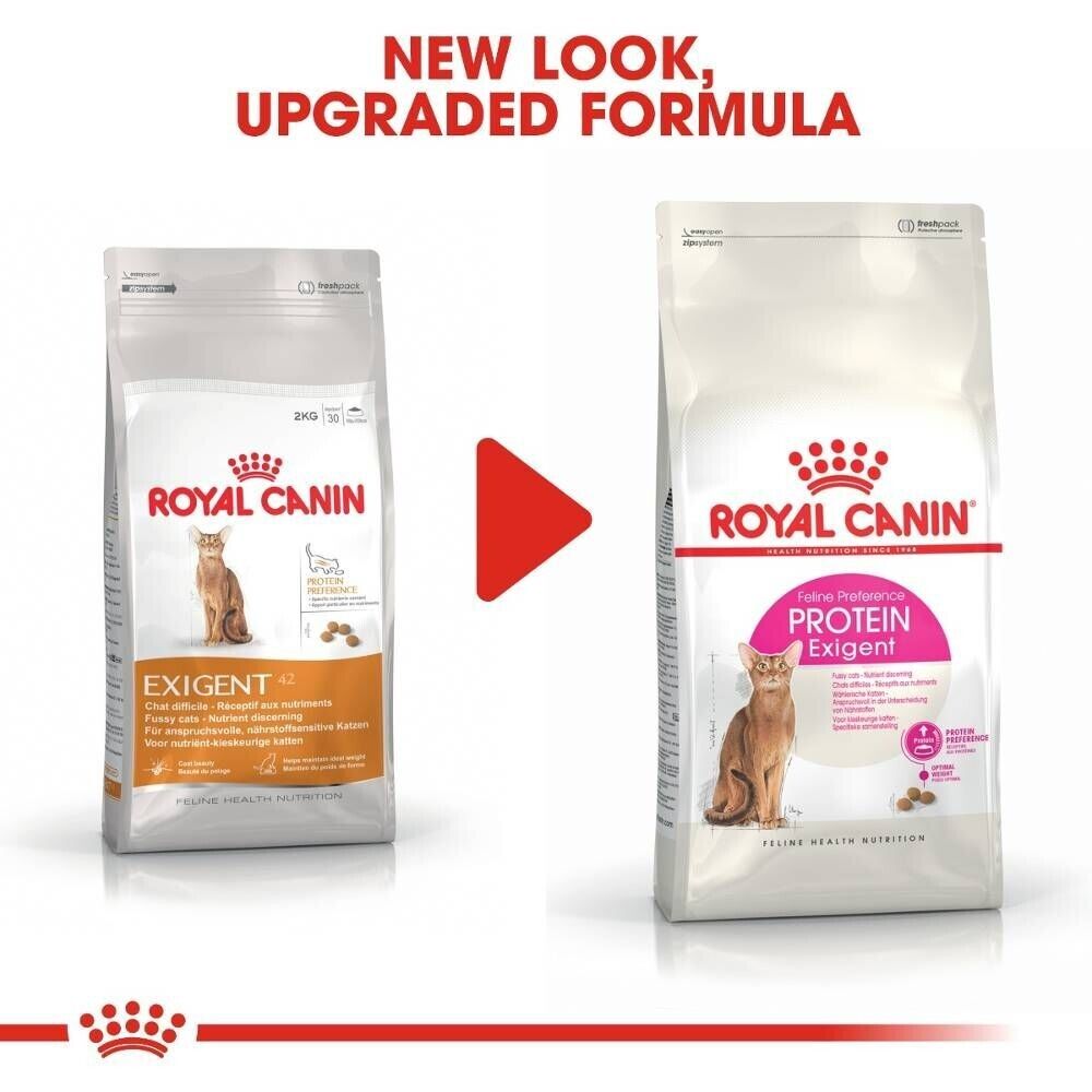 Royal Canin Feline Protein Exigent Adult Cat Dry Food - 400g, 2kg, 4kg, 10kg