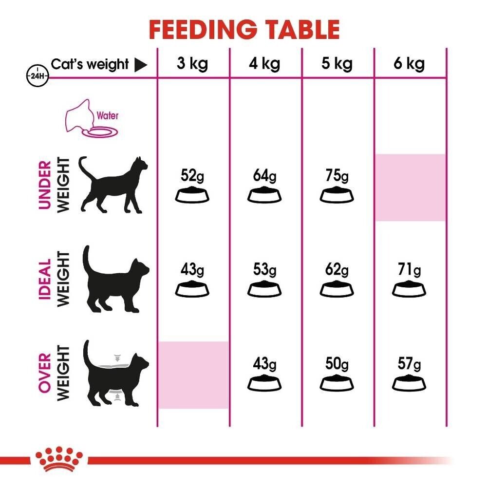 Royal Canin Feline Protein Exigent Adult Cat Dry Food - 400g, 2kg, 4kg, 10kg