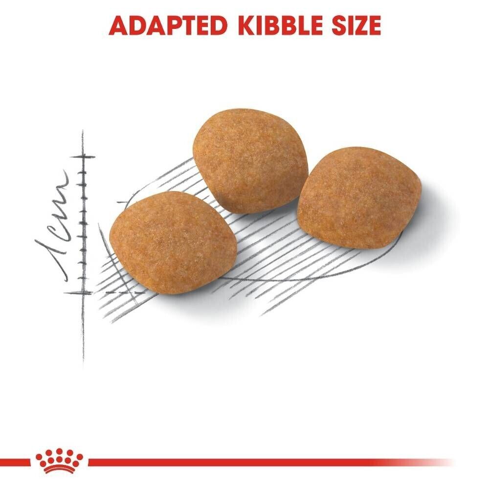 Royal Canin Feline Protein Exigent Adult Cat Dry Food - 400g, 2kg, 4kg, 10kg