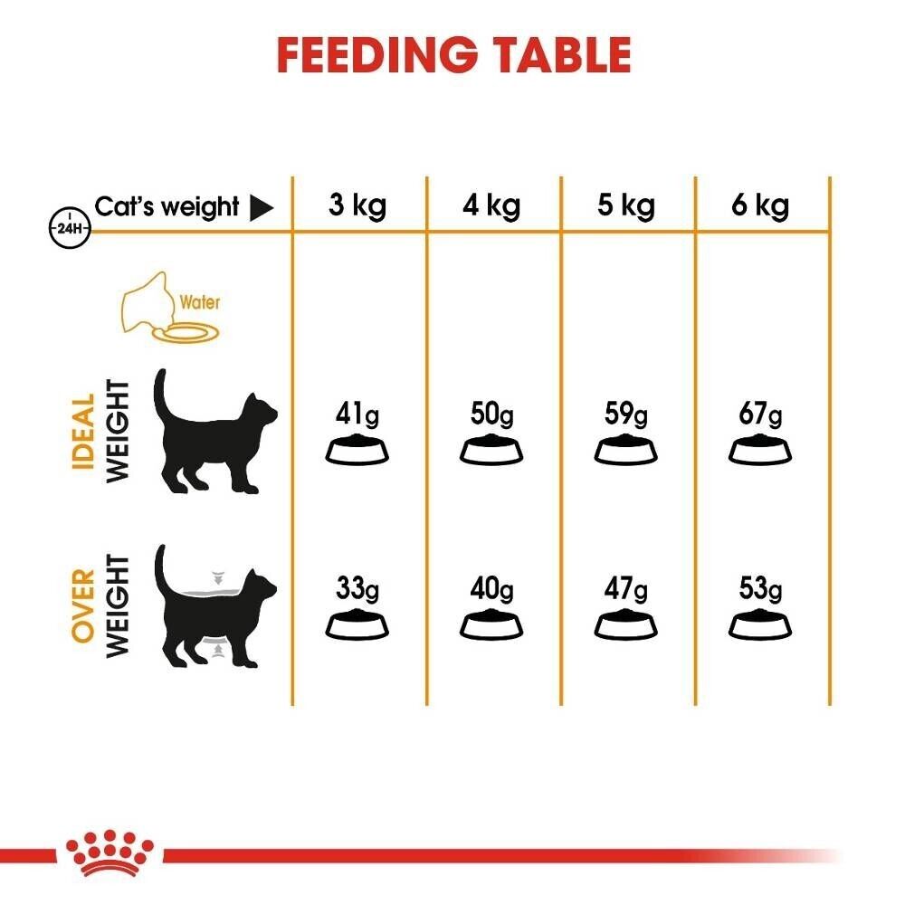 Royal Canin Hair Skin Care Adult Wet Cat Food in Gravy Pouches - 12x85g, 48x85g