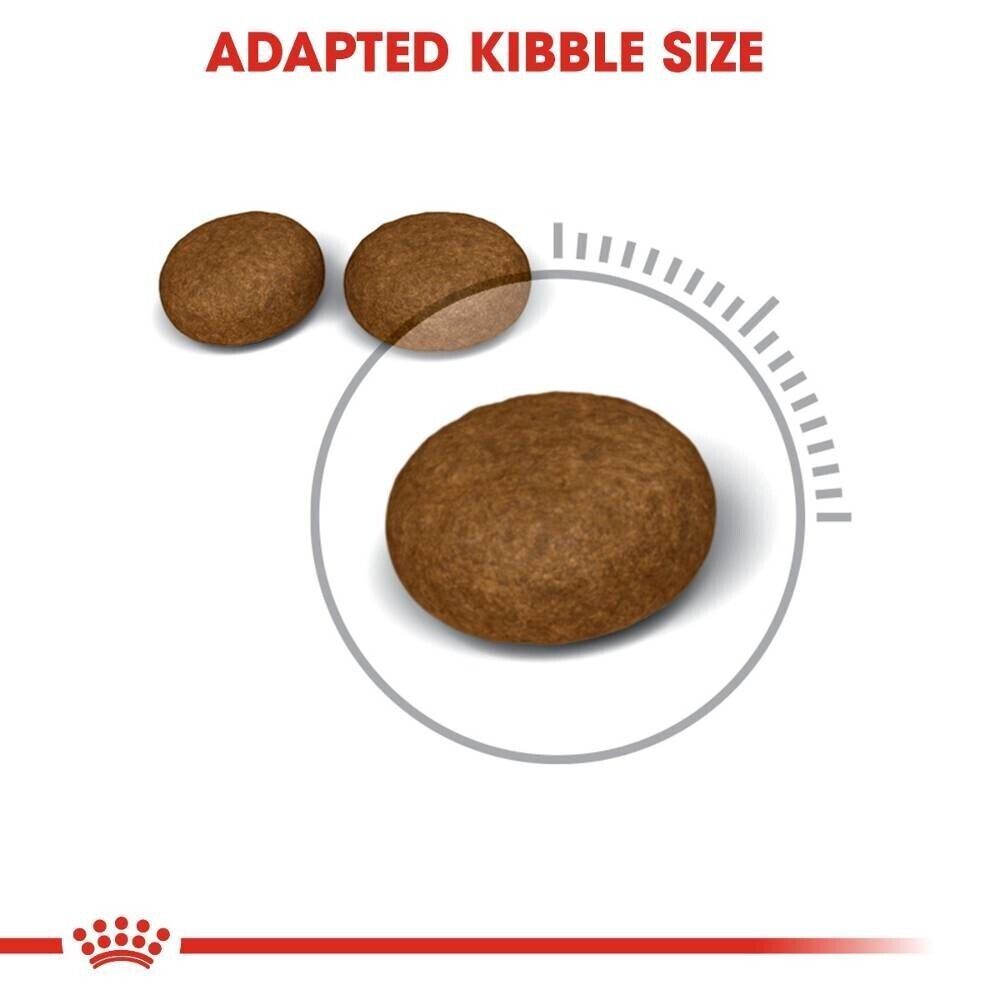 Royal Canin Hair & Skin Care Adult Dry Cat Food - 400g, 2kg, 4kg, 10kg