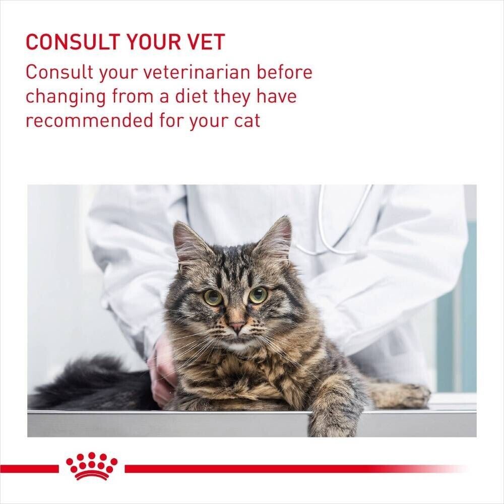 Royal Canin Hair Skin Care Adult Wet Cat Food in Gravy Pouches - 12x85g, 48x85g