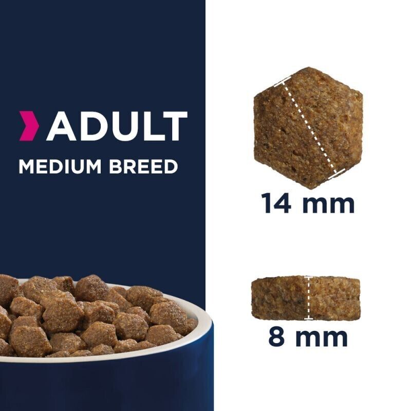 Eukanuba Medium Breed Dry Dog Food Active Adult Rich in Chicken - 2kg, 4 kg, 15kg
