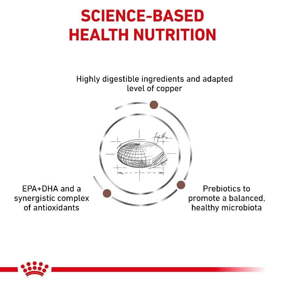 Royal Canin Hepatic Dry Cat Food - 2kg, 4kg