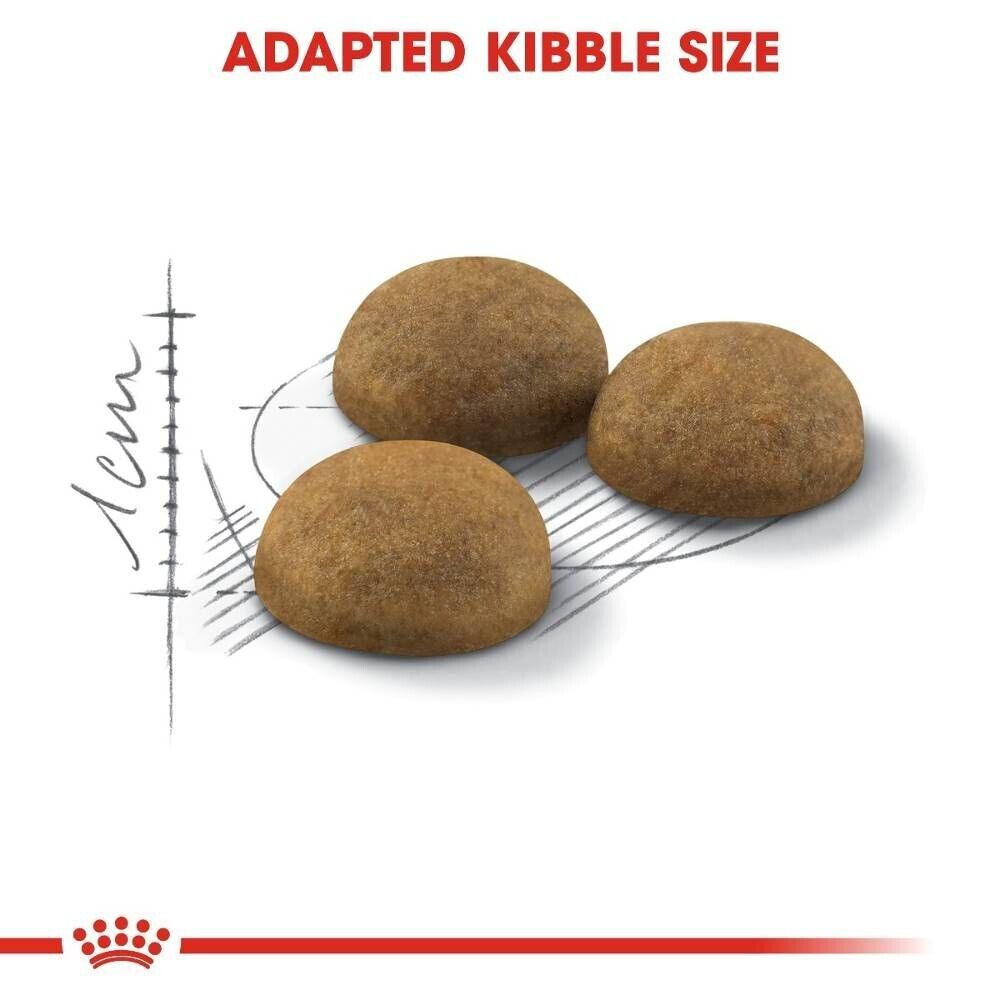 Royal Canin Home Life Indoor Long Hair Dry Cat Food - 2kg, 4kg, 10kg
