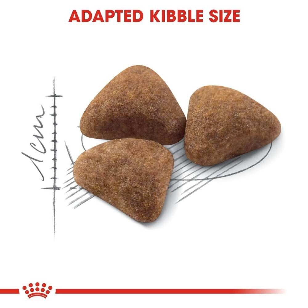 Royal Canin Indoor 27 Home Life Adult Dry Cat Food - 400g, 2kg, 4kg, 10kg