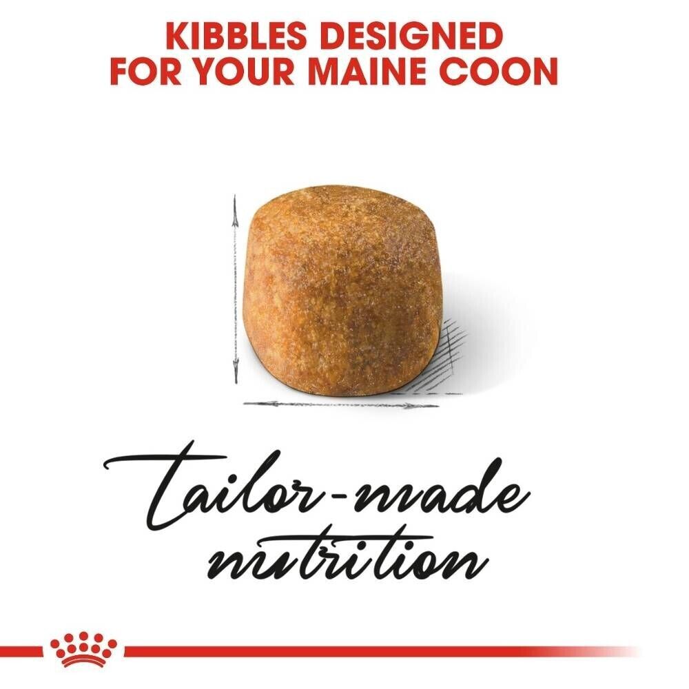 Royal Canin Maine Coon Adult Dry Cat Food - 400g, 2kg, 4kg, 10kg