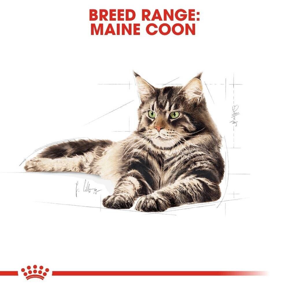 Royal Canin Maine Coon Adult Dry Cat Food - 400g, 2kg, 4kg, 10kg