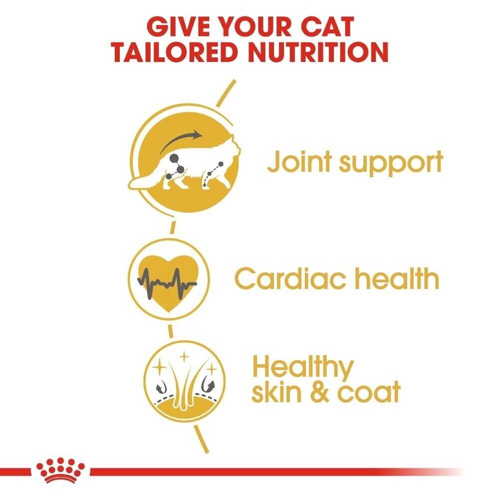 Royal Canin Maine Coon Adult Dry Cat Food - 400g, 2kg, 4kg, 10kg