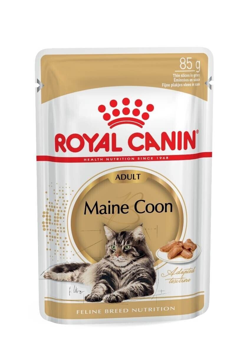 Royal Canin Maine Coon Adult Wet Cat Food Pouches (in Gravy) 12x85g, 48x85g