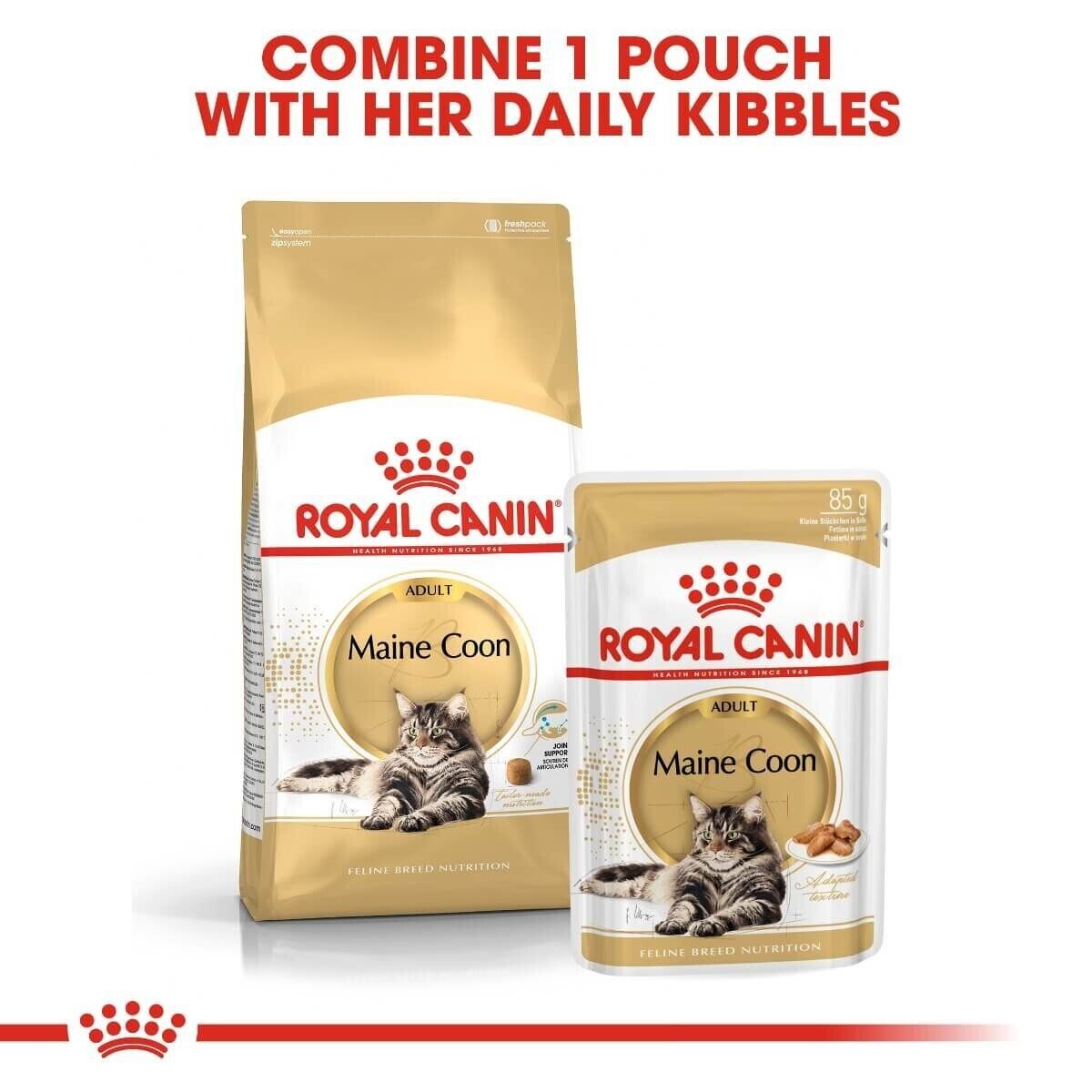 Royal Canin Maine Coon Adult Wet Cat Food Pouches (in Gravy) 12x85g, 48x85g
