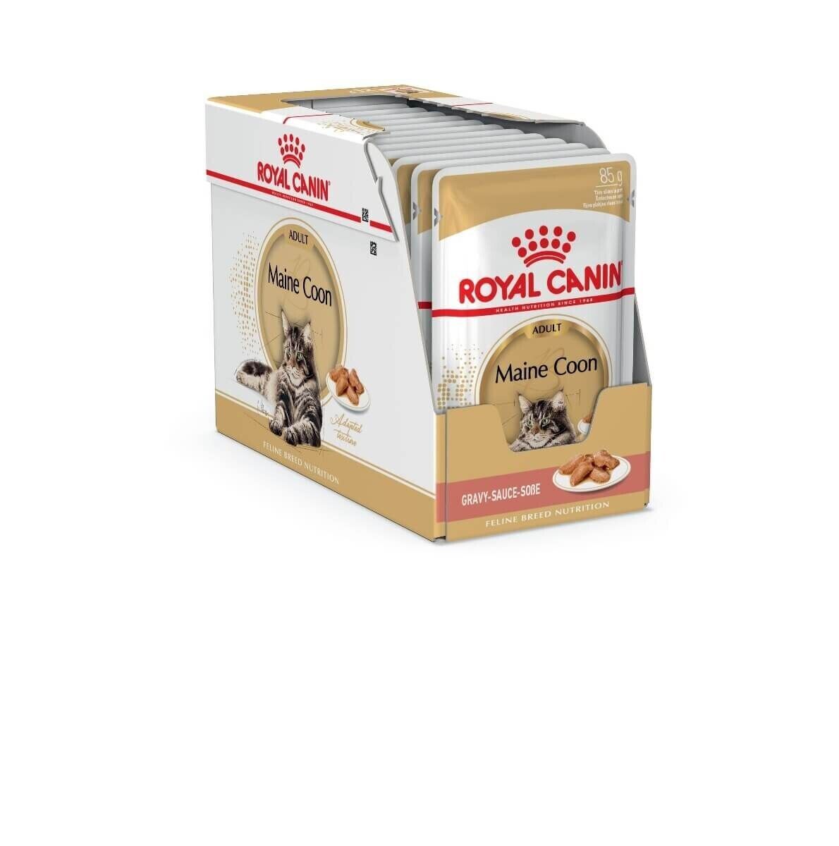 Royal Canin Maine Coon Adult Wet Cat Food Pouches (in Gravy) 12x85g, 48x85g