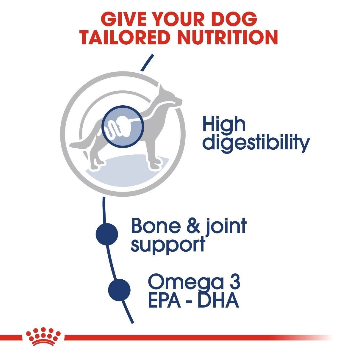 Royal Canin Maxi Adult Wet Dog Food (in Gravy) Pouches - 10x140g, 40x140g