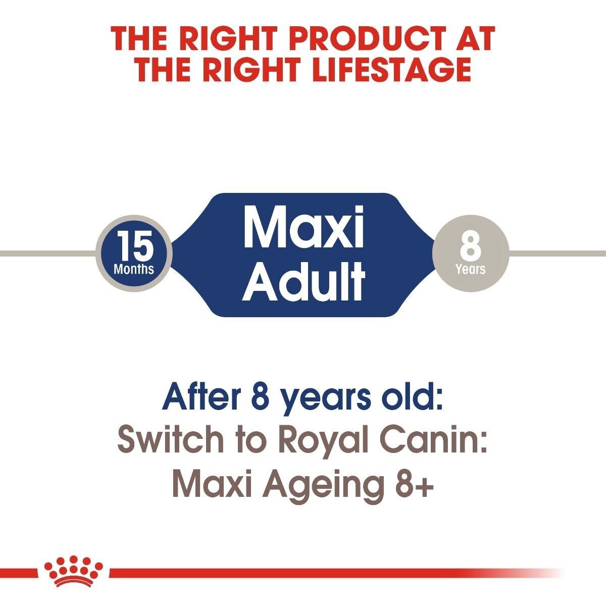 Royal Canin Maxi Adult Wet Dog Food (in Gravy) Pouches - 10x140g, 40x140g