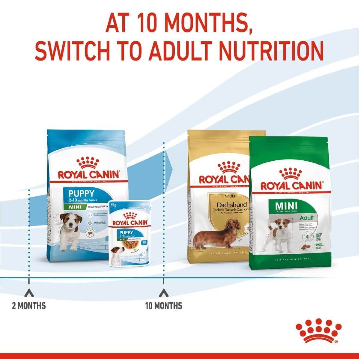 Royal Canin Mini Puppy Wet Dog Food (in Gravy) - 12 x 85g , 48 x 85g Pouches
