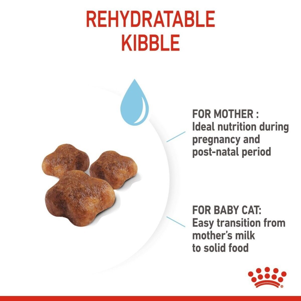 Royal Canin Mother & Babycat Dry Cat Food - 400g, 2kg, 4kg