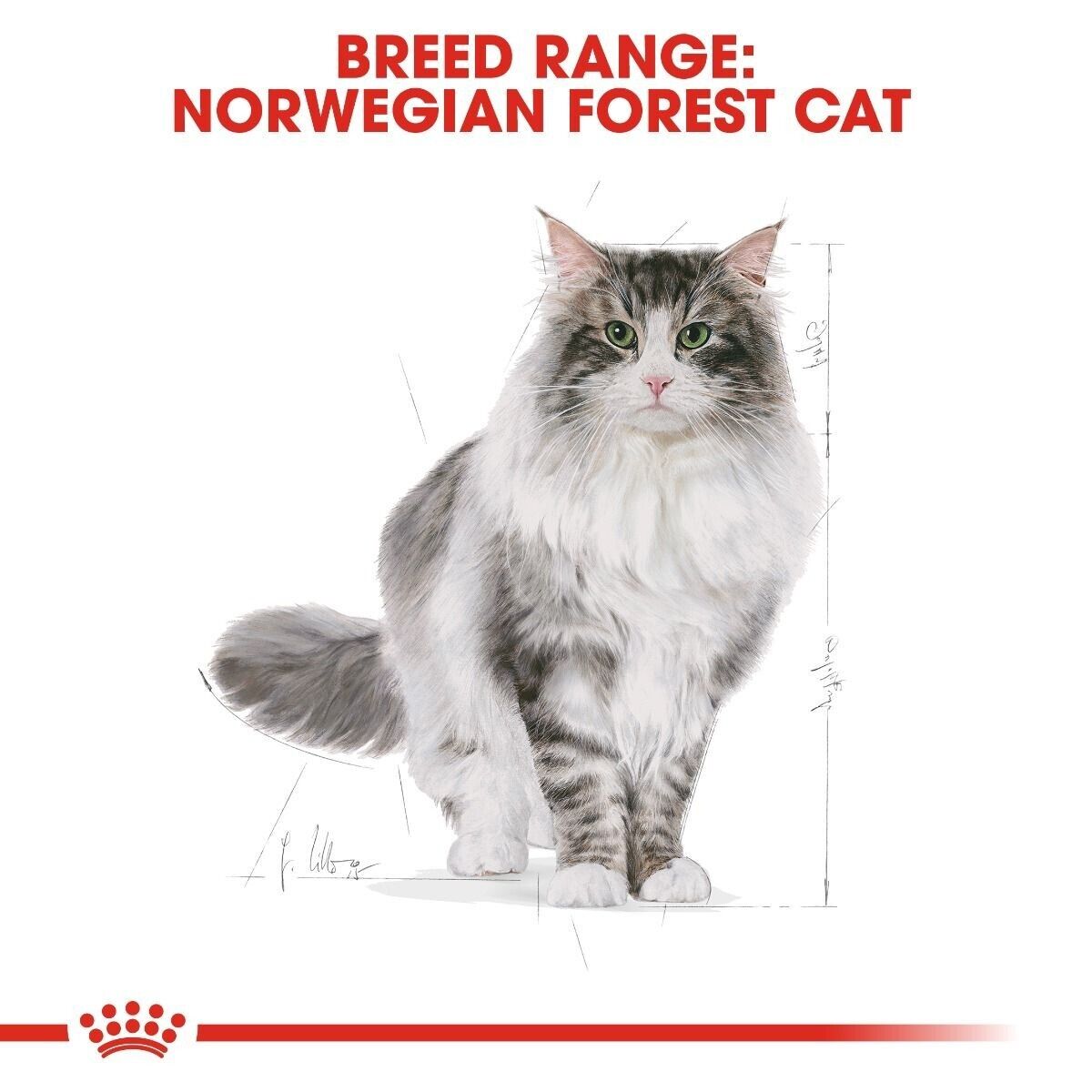 Royal Canin Norwegian Forest Cat Adult Dry Cat Food - 2kg, 10kg