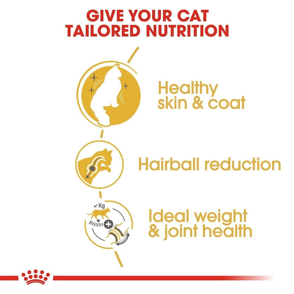 Royal Canin Norwegian Forest Cat Adult Dry Cat Food - 2kg, 10kg